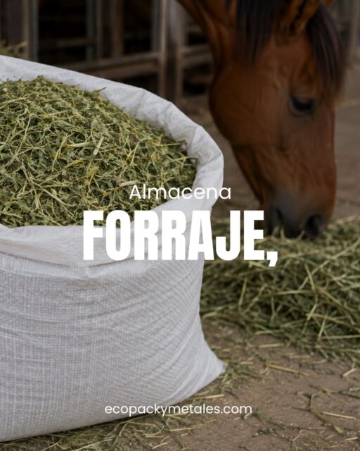 Protege lo que alimenta. 🌾🐴
Costales prácticos y resistentes para almacenar y proteger forrajes y alimentos, ayudando a conservarlos en buenas condiciones.
📦 Soluciones para las necesidades del sector agropecuario.
#ecopackymetales #costal #costales #empaques #agropecuario