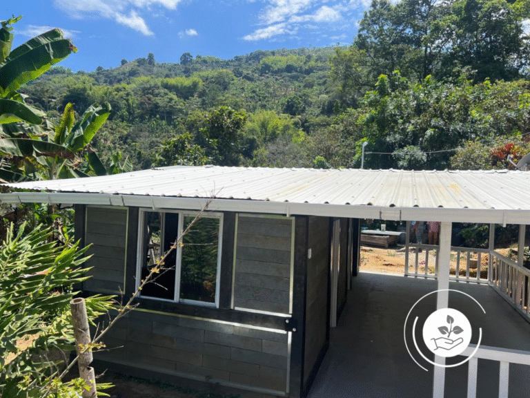 Copia de Copia de Copia de Copia de ferrosa