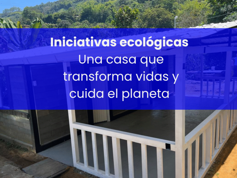 Copia de Copia de Copia de ferrosa (3)