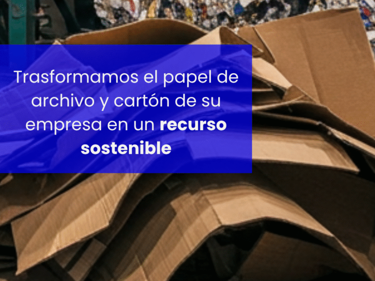 Copia de Copia de archivo 3 (2)